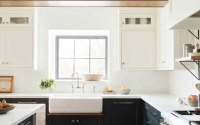 Paint Edit: White Paint Colors